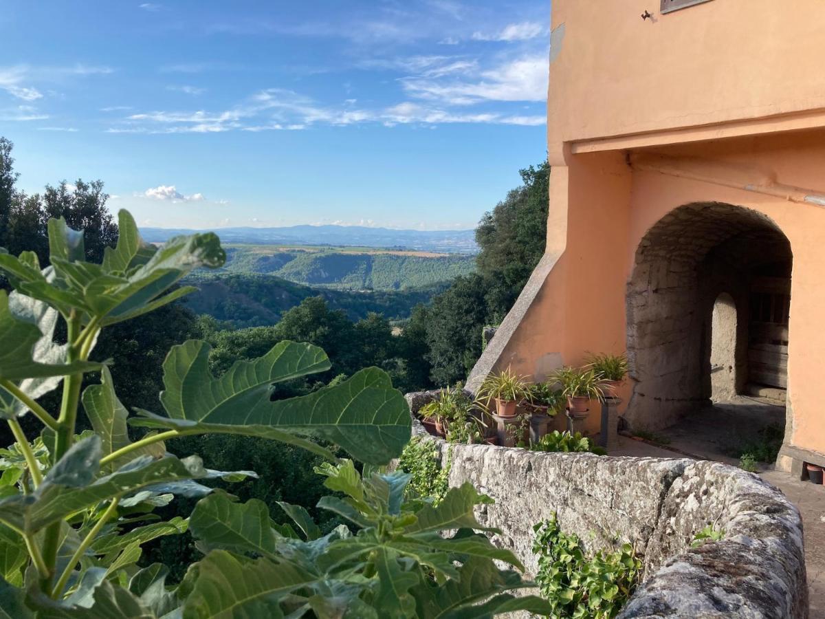 B&brown Holiday home Bomarzo