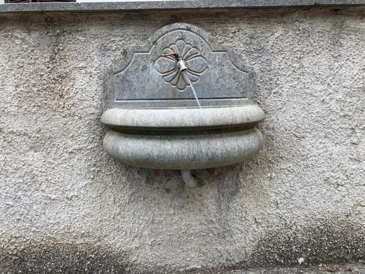B&brown Bomarzo